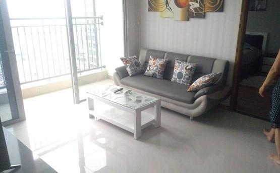 apartment for rent in Binh thanh district BT105L576 (3)